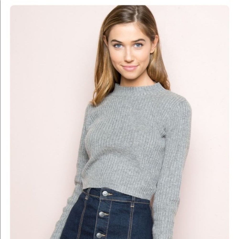 Brandy Melville Brett Ribbed Mock Neck Sweater